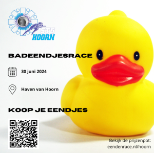 Badeendjesrace